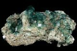 Large, Wide Plate of Green Fluorite Crystals on Quartz - China #128813-1
